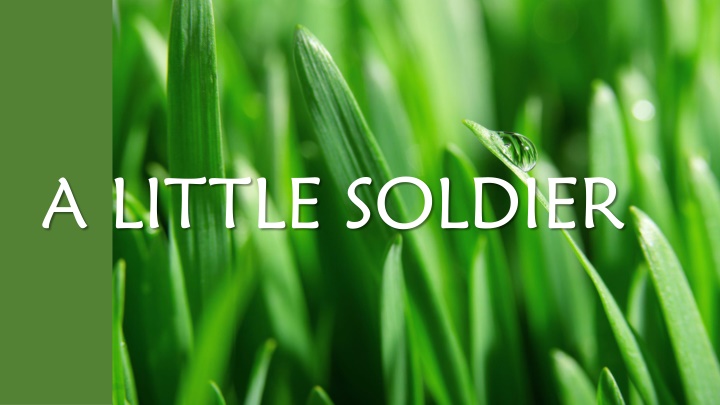 a little soldier n.w