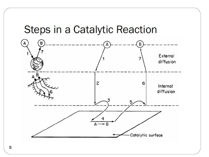 slide1 n.w