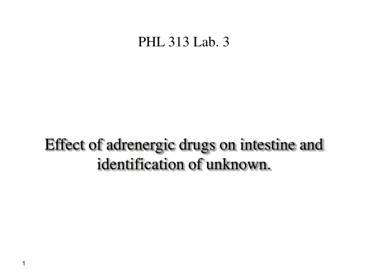 phl 313 lab 3 n.w