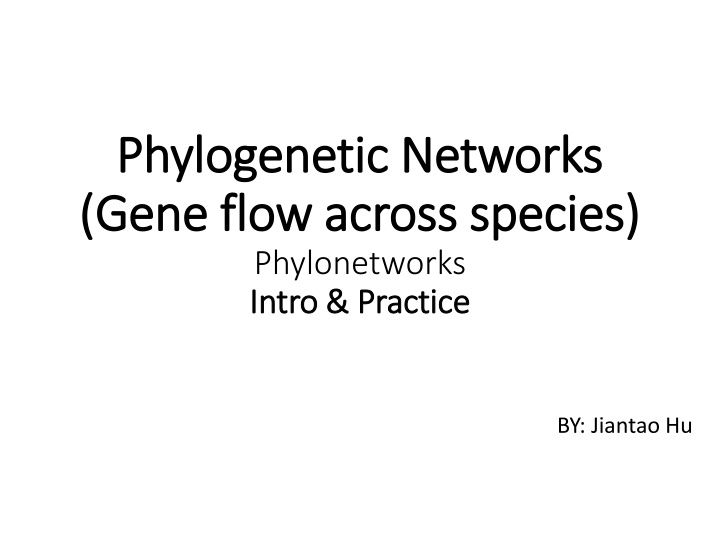phylogenetic networks phylogenetic networks gene n.w