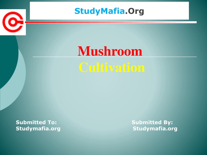 Mushroom Cultivation: Importance and Future Prospects
