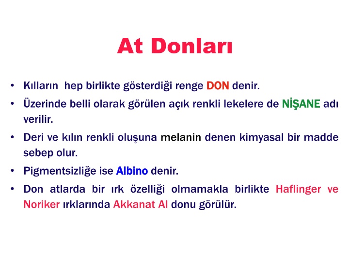 at donlar n.w