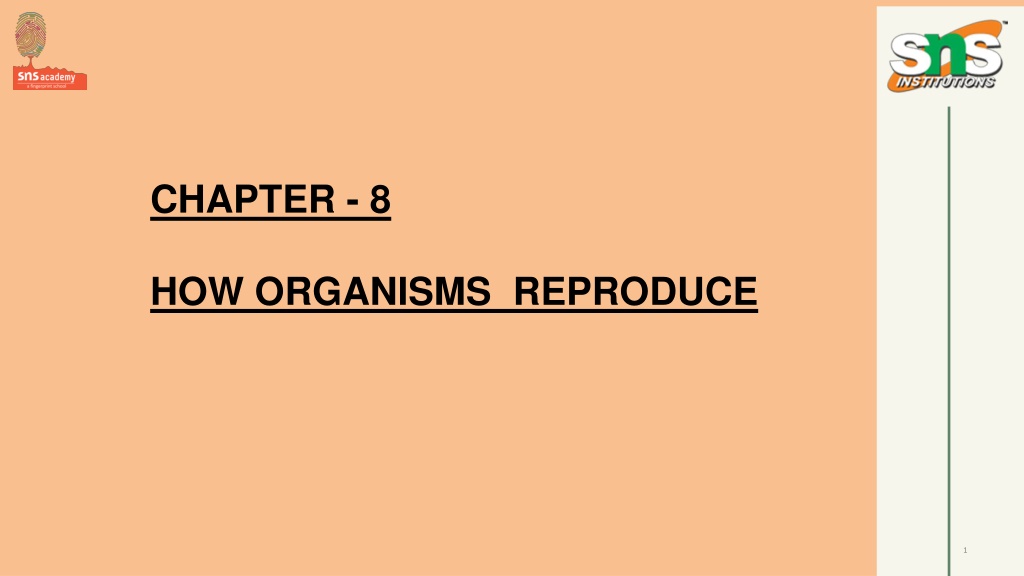 chapter 8 n.w