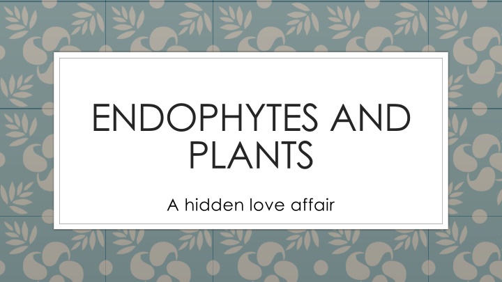 endophytes and plants n.w
