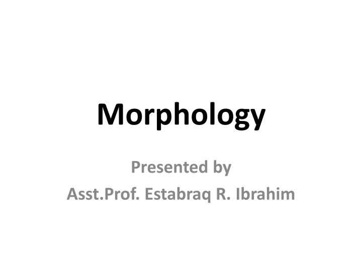 morphology n.w