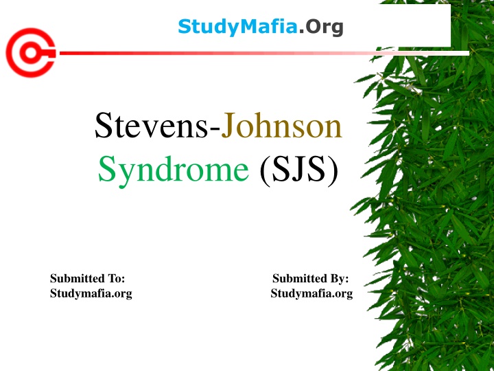 studymafia org n.w