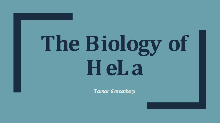 the biology of hela n.w