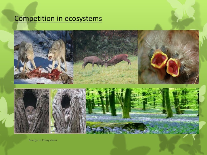 competition in ecosystems n.w