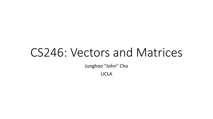 cs246 vectors and matrices n.w