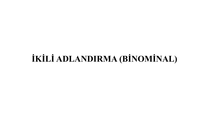 k l adlandirma b nom nal n.w