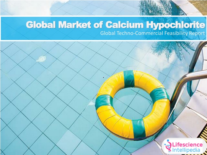 global market of global market of calcium n.w