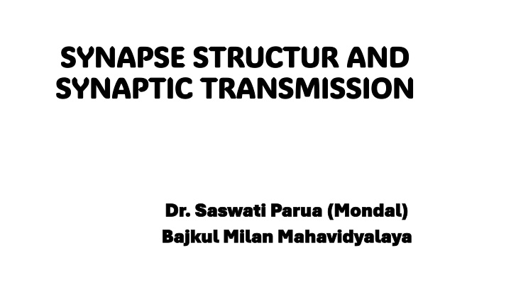 synapse structur and synapse structur n.w