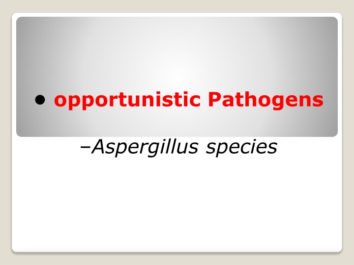 opportunistic pathogens n.w
