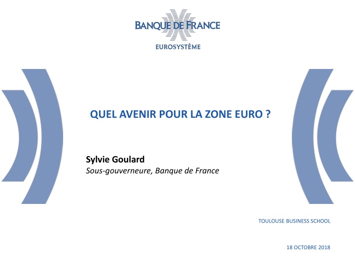 quel avenir pour la zone euro n.w
