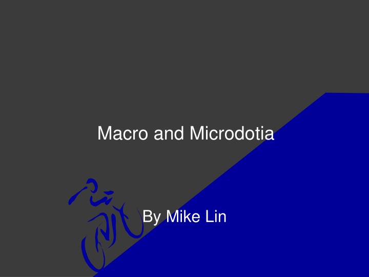 macro and microdotia n.w