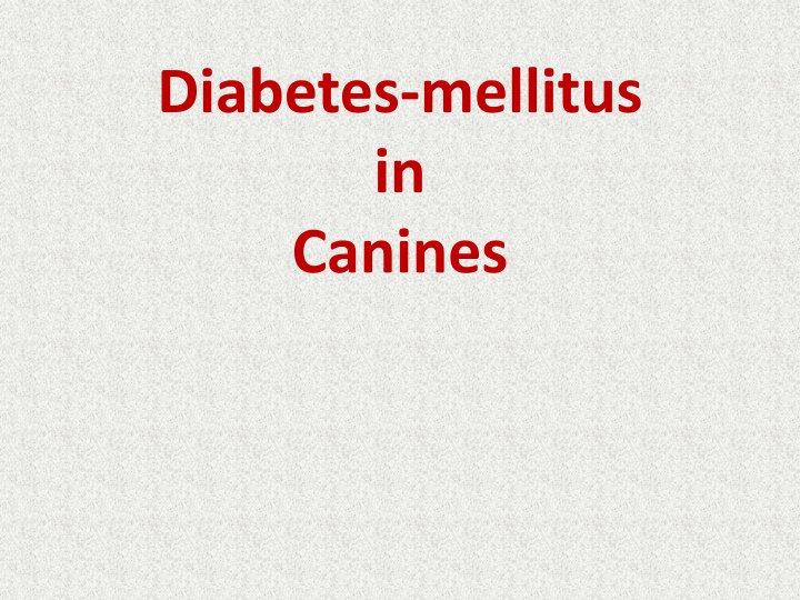 diabetes mellitus in canines n.w