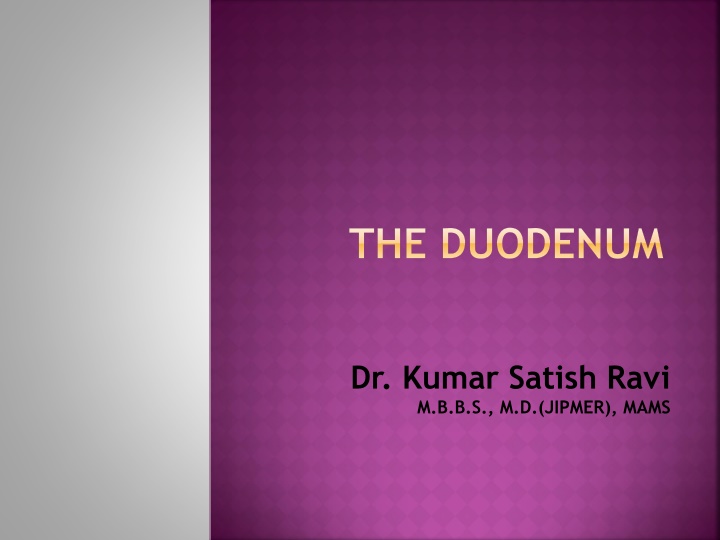 the duodenum n.w