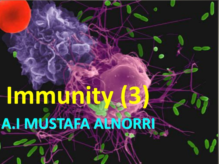 immunity 3 a i mustafa alnorri n.w
