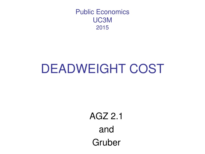 Analysis of Deadweight Costs in Public Economics