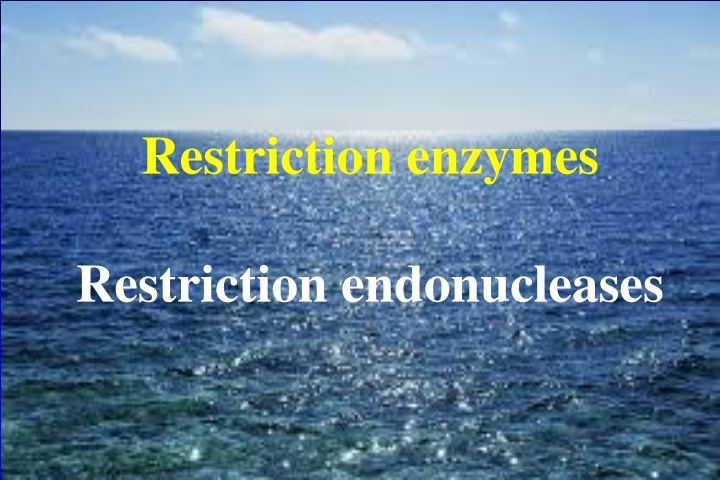 restriction enzymes n.w