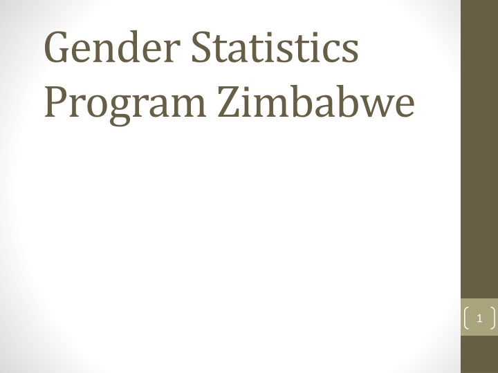 gender statistics program zimbabwe n.w