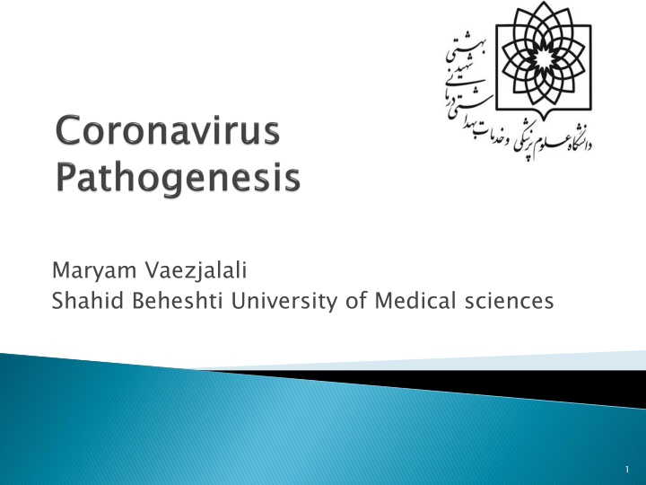 maryam vaezjalali shahid beheshti university n.w