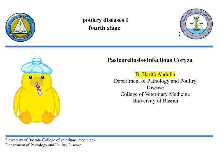 poultry diseases 1 fourth stage n.w