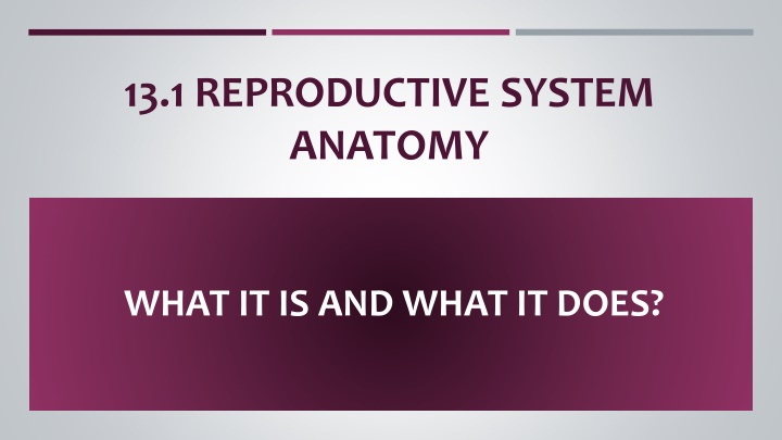 13 1 reproductive system anatomy n.w