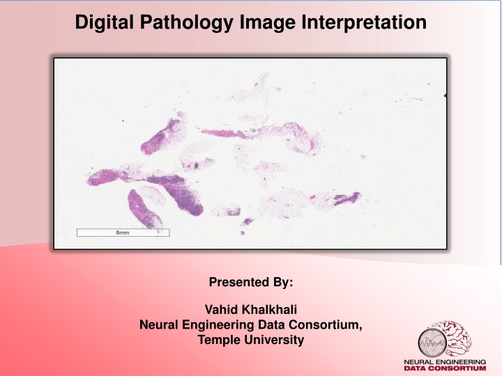 digital pathology image interpretation n.w