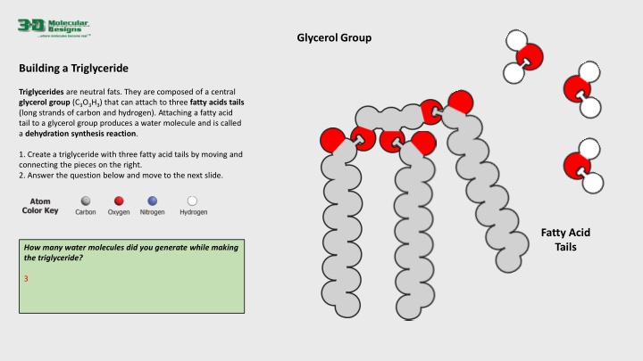 glycerol group n.w