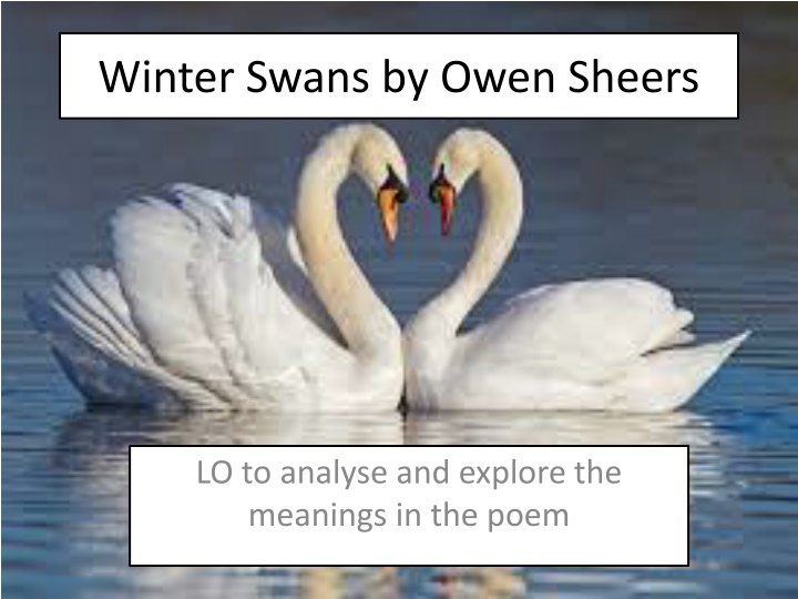 winter swans by owen sheers n.w