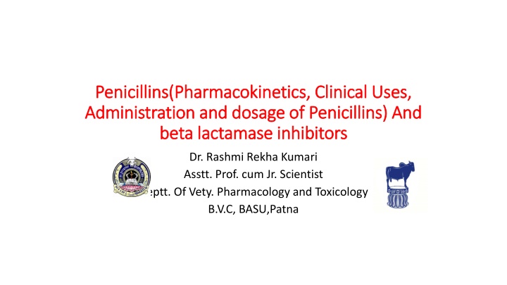 penicillins penicillins pharmacokinetics clinical n.w