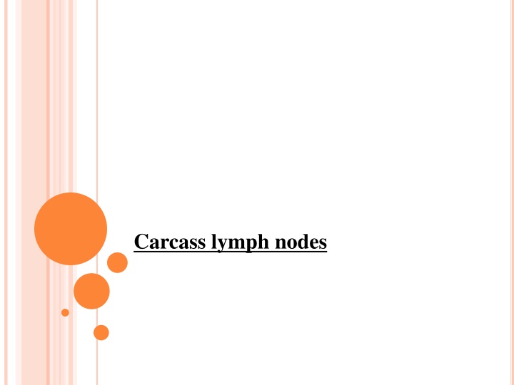 carcass lymph nodes n.w