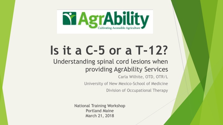 Spinal Cord Injuries Overview