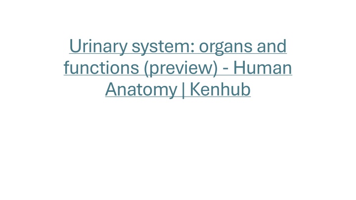 Overview of Urinary System Organs and Functions