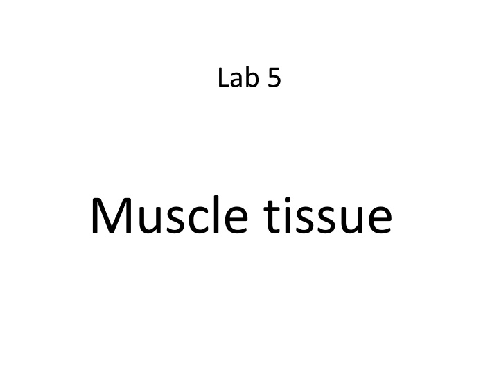 lab 5 n.w
