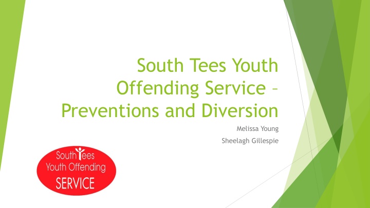 south tees youth offending service preventions n.w