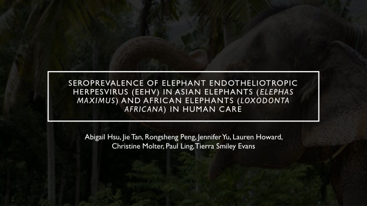 Seroprevalence of Elephant Endotheliotropic Herpesvirus in Elephants