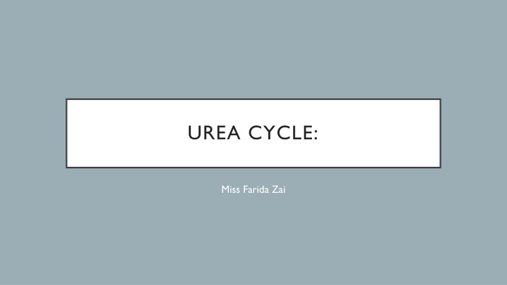 urea cycle n.w