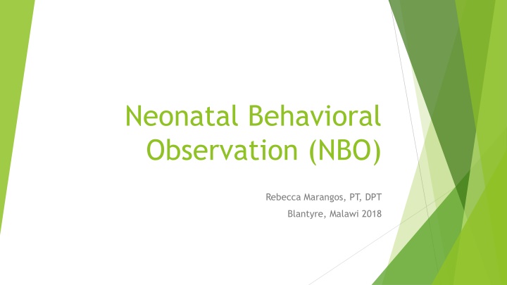 neonatal behavioral observation nbo n.w