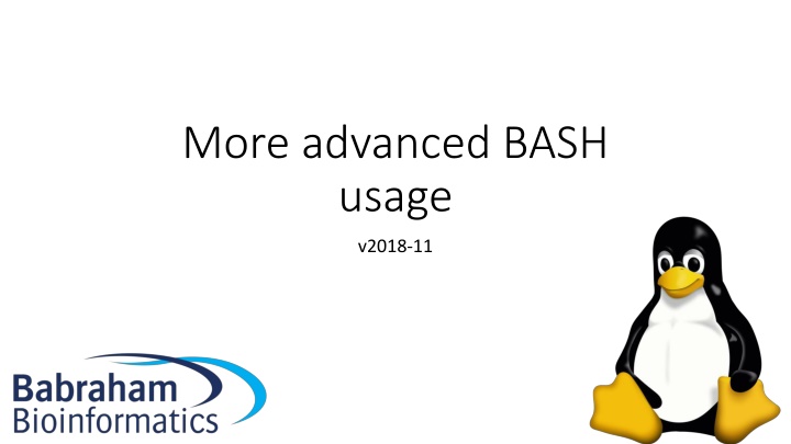 more advanced bash usage n.w