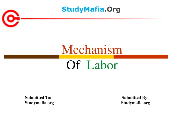studymafia org n.w