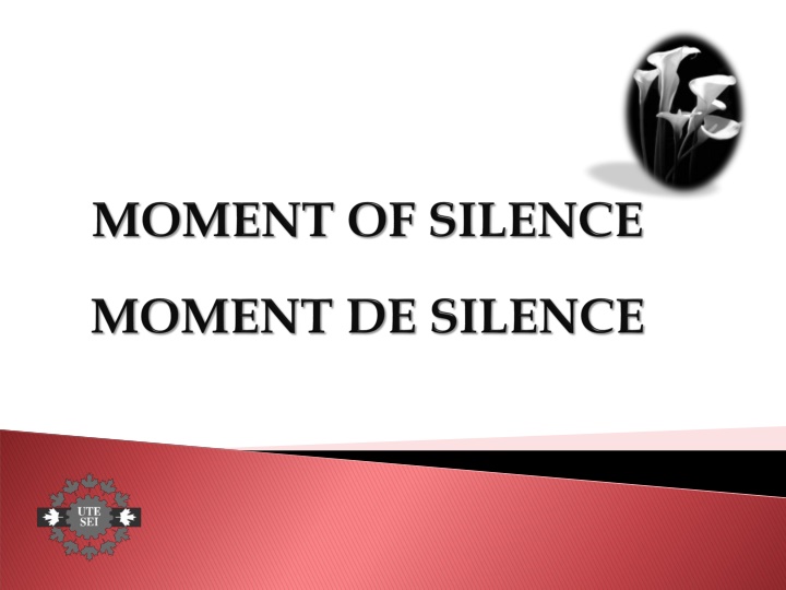 slide1 n.w