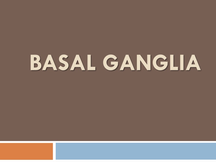 basal ganglia n.w