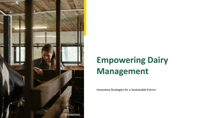 empowering dairy management n.w