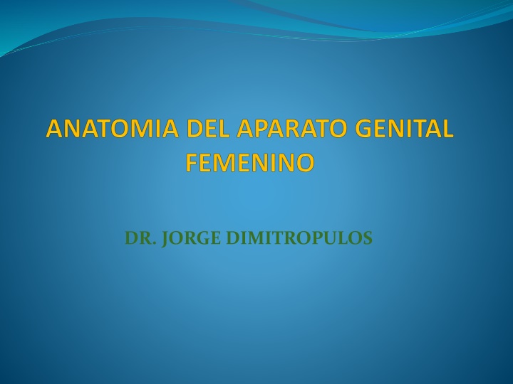 dr jorge dimitropulos n.w