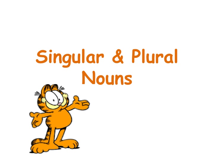 singular plural nouns n.w