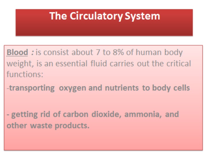 slide1 n.w