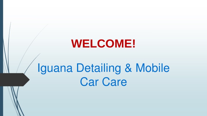 Get service for Ceramic Coating in Langley Green