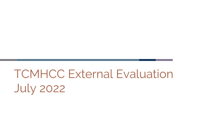 tcmhcc external evaluation july 2022 n.w